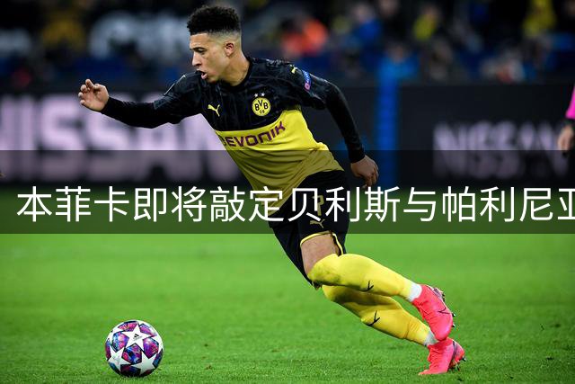 本菲卡即将敲定贝利斯与帕利尼亚两笔重磅签约