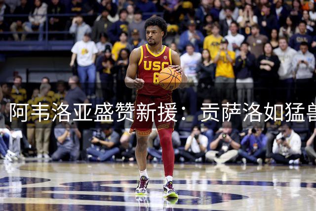 阿韦洛亚盛赞新援：贡萨洛如猛兽 帕拉西奥斯似魔法师
